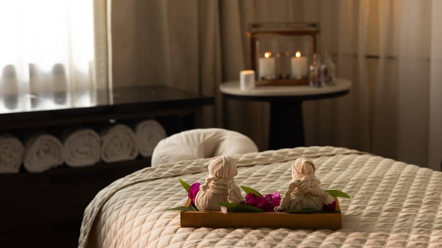 Four Hand Dry Massage experience